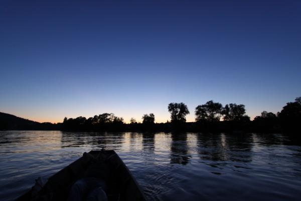 Weidling auf dem Rhein