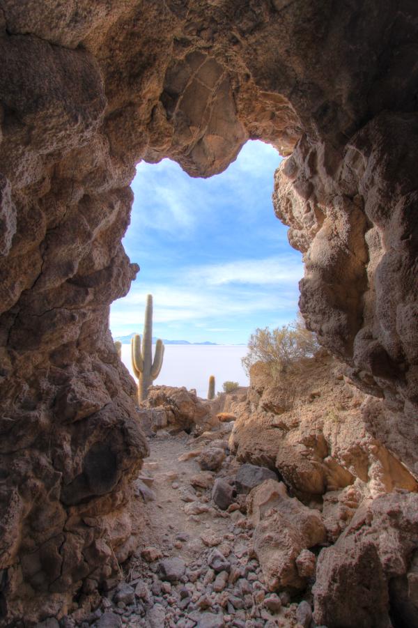 Kaktusinsel Uyuni